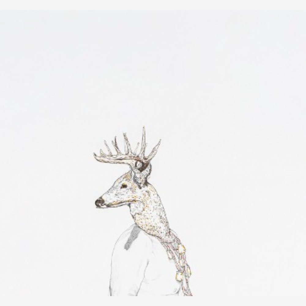 Venado I - Imagen 2