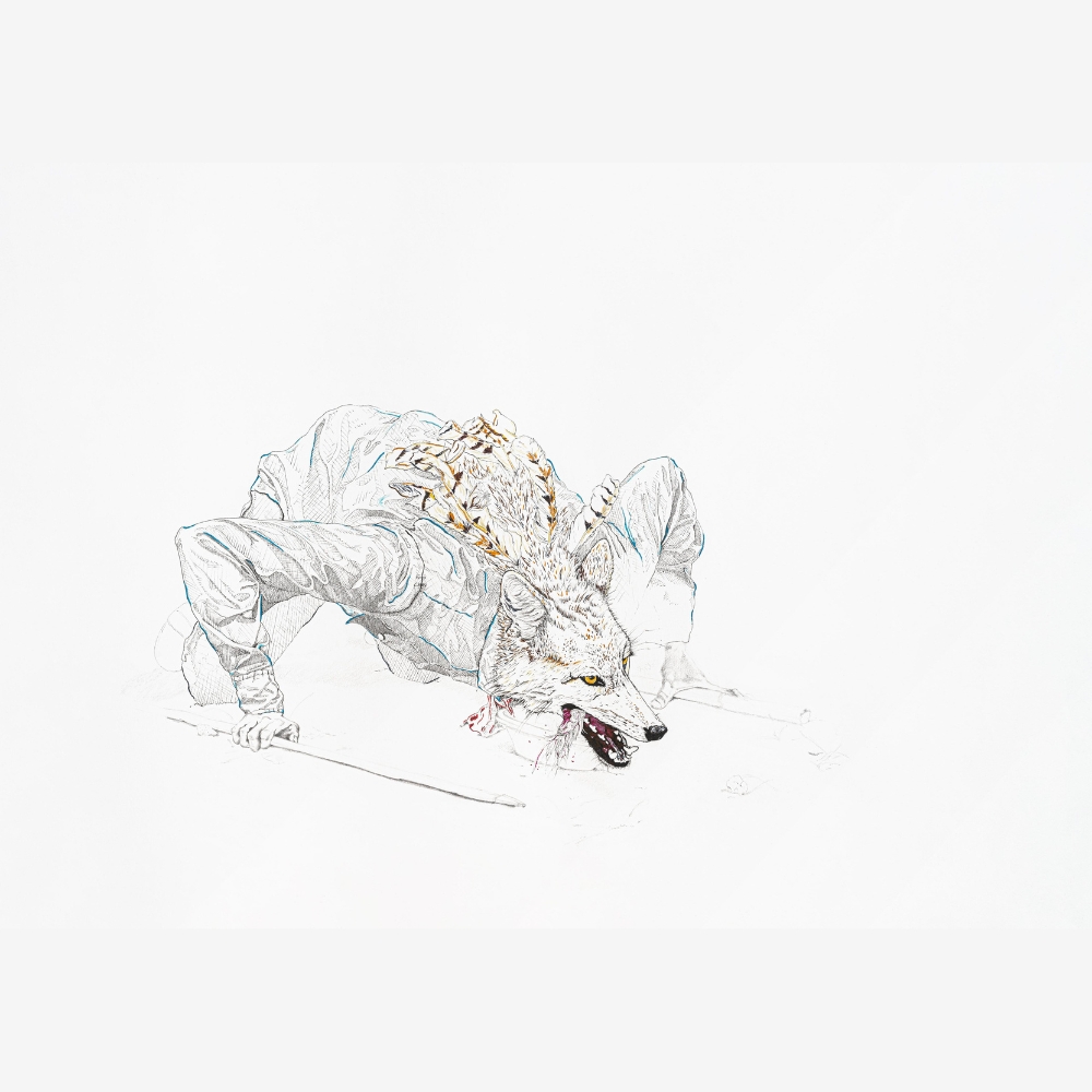 Coyote I (print)