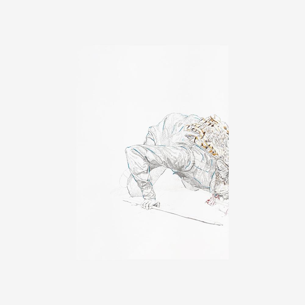 Coyote I (print) - Imagen 3
