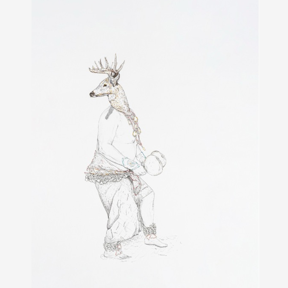 Venado I