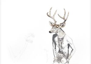 Venado II