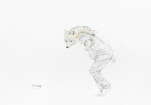 Coyote II