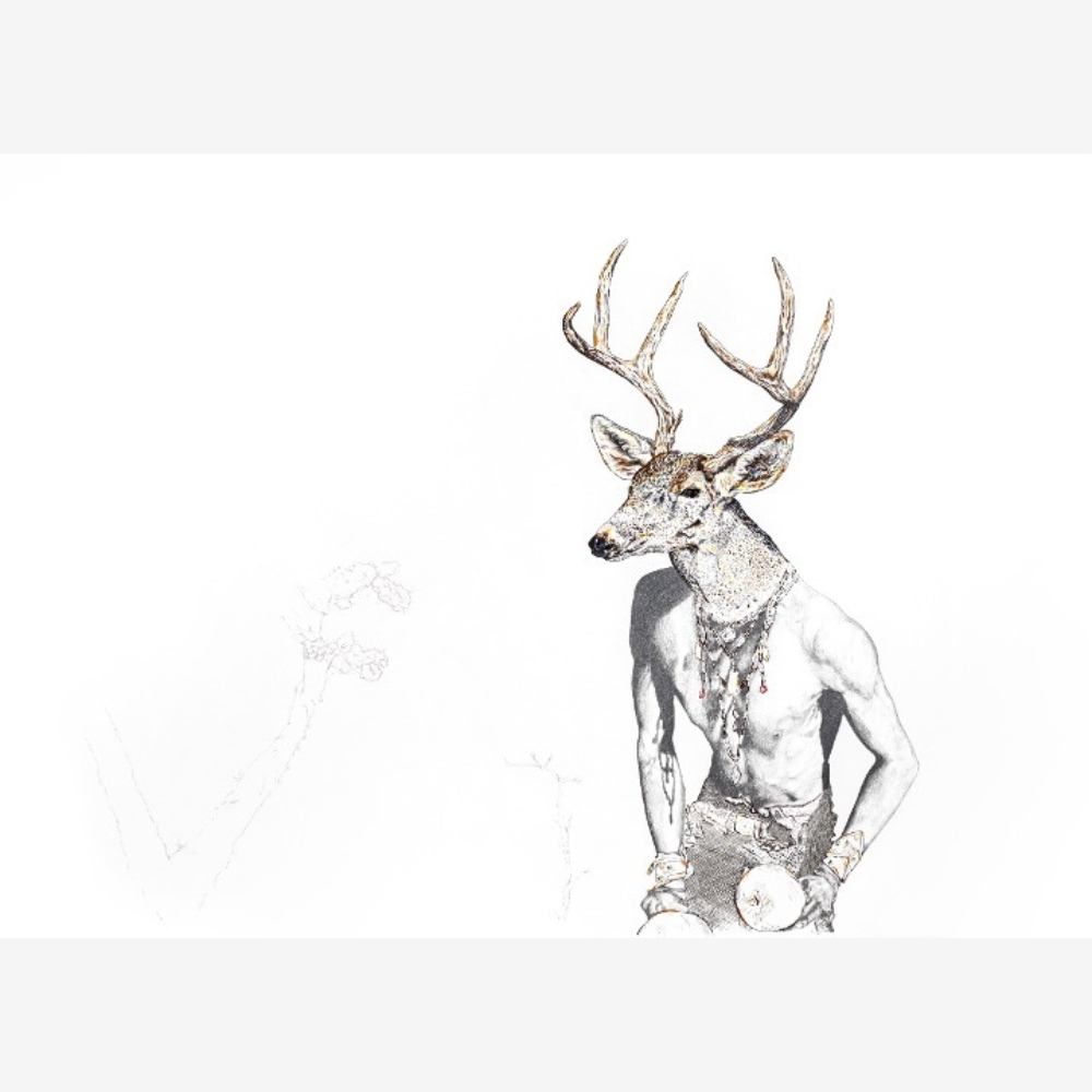 Venado II